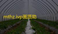mthz.ivp画质助手 v1.0.20